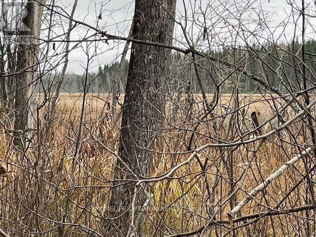 Pcl 7576 0 N, Dryden, Ontario  P0V 1P0 - Photo 5 - X12646542