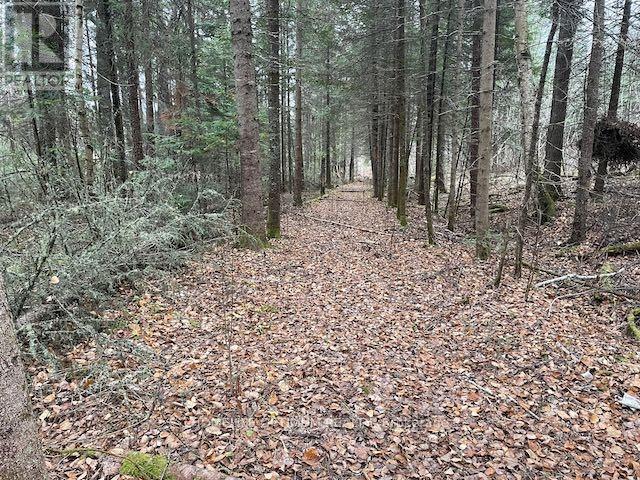 Pcl 7576 N/a N, Dryden, Ontario  P0V 1P0 - Photo 6 - X12646544