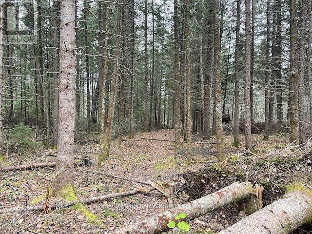 Pcl 7576 N/a N, Dryden, Ontario  P0V 1P0 - Photo 7 - X12646544