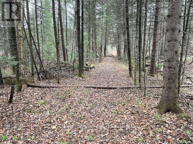 Pcl 7576 N/a N, Dryden, Ontario  P0V 1P0 - Photo 8 - X12646544