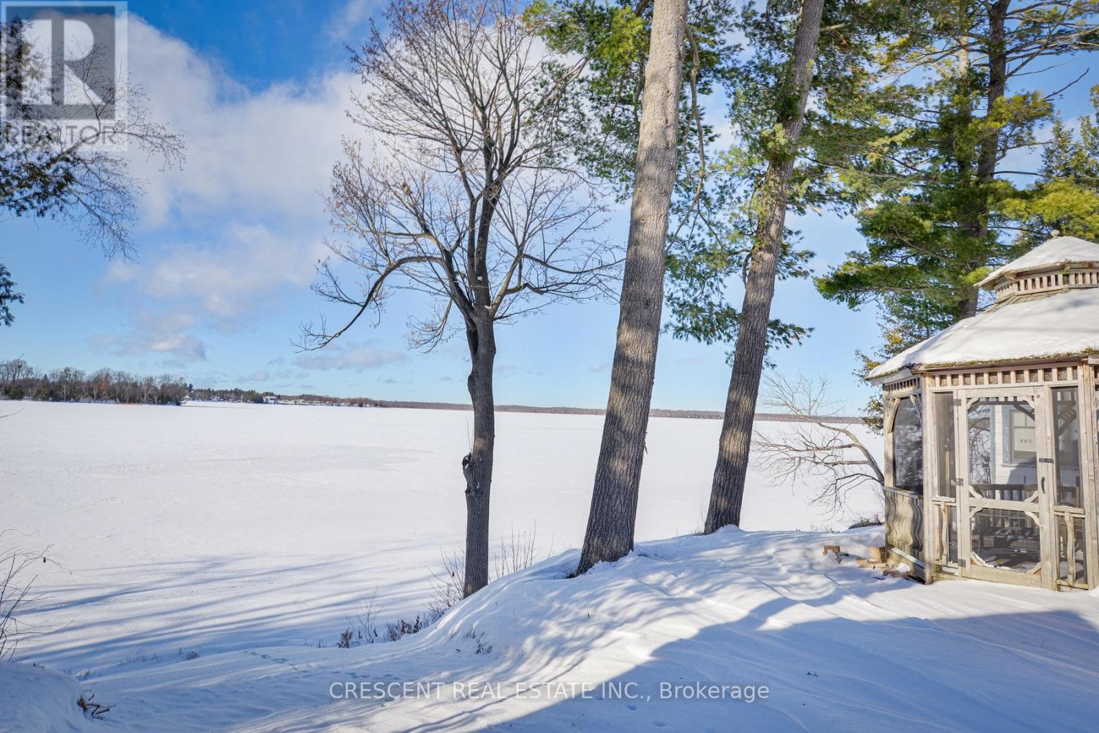 241 Avery Point Road, Kawartha Lakes, Ontario  L0K 1W0 - Photo 15 - X12646576