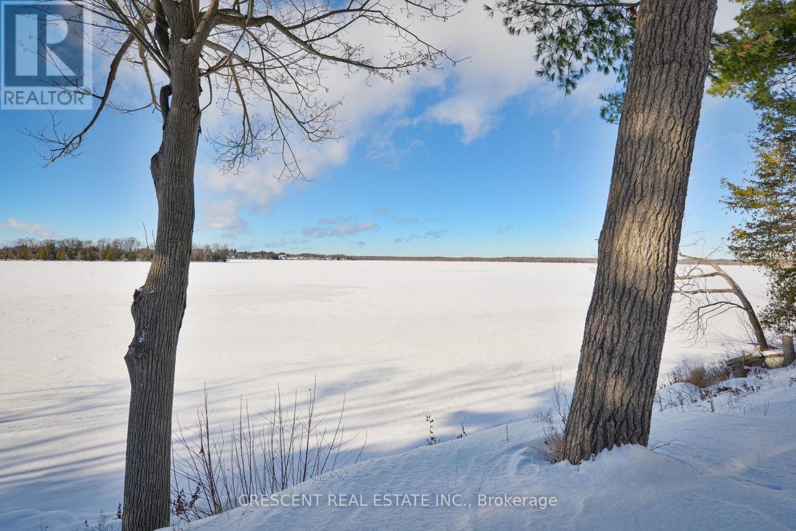 241 Avery Point Road, Kawartha Lakes, Ontario  L0K 1W0 - Photo 16 - X12646576