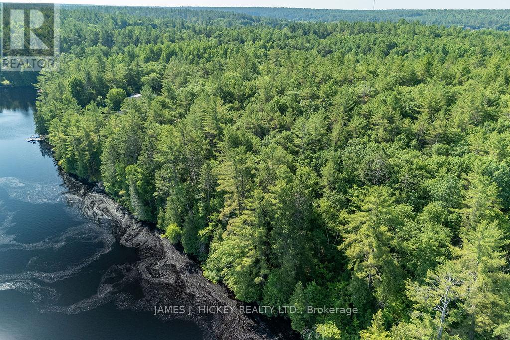 0 Rantz Road, Petawawa, Ontario  K8H 2W8 - Photo 7 - X12646790