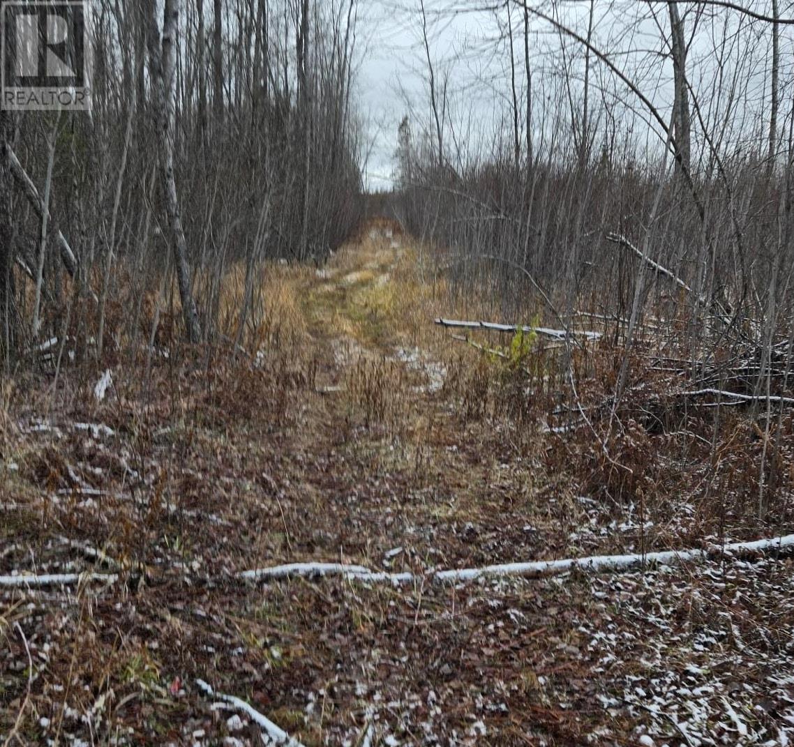 Pcl 11368, Township Of Morley, Ontario P0W 1N0 - Photo 11 - TB253536