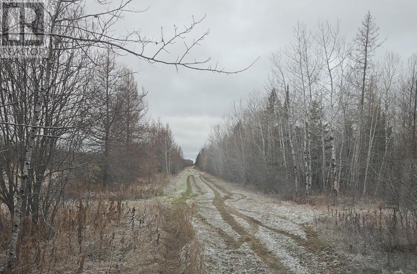 Pcl 11368, Township Of Morley, Ontario P0W 1N0 - Photo 9 - TB253536