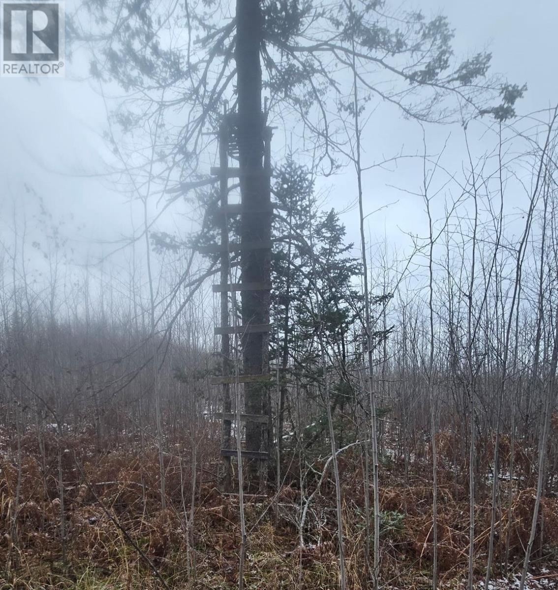 Pcl 11368, Township Of Morley, Ontario P0W 1N0 - Photo 12 - TB253536