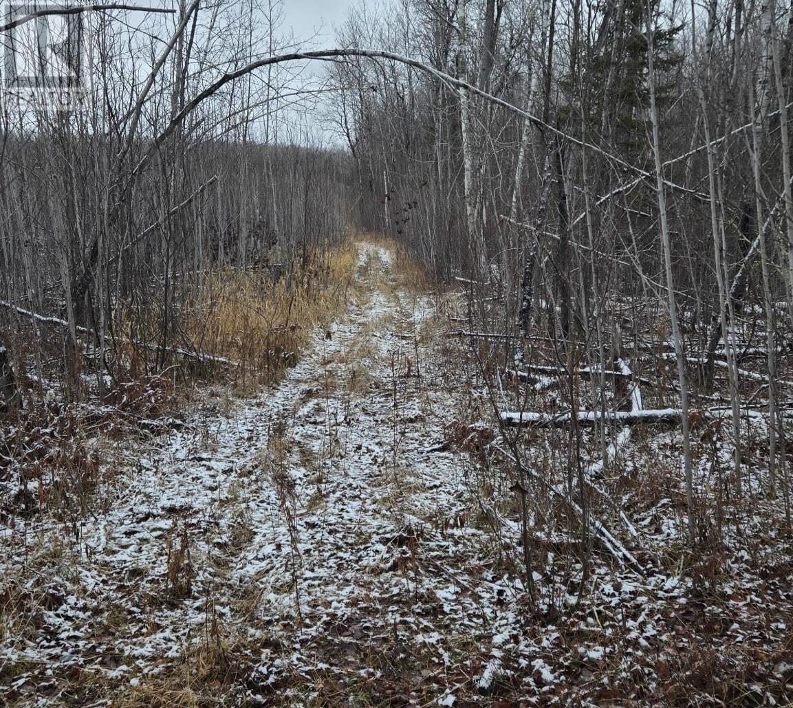 Pcl 11368, Township Of Morley, Ontario P0W 1N0 - Photo 10 - TB253536