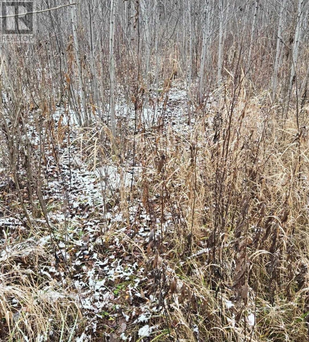 Pcl 11368, Township Of Morley, Ontario P0W 1N0 - Photo 8 - TB253536