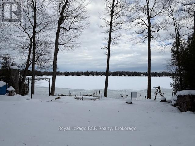 173 Macdonalds Road, Grey Highlands, Ontario  N0C 1E0 - Photo 2 - X12047137