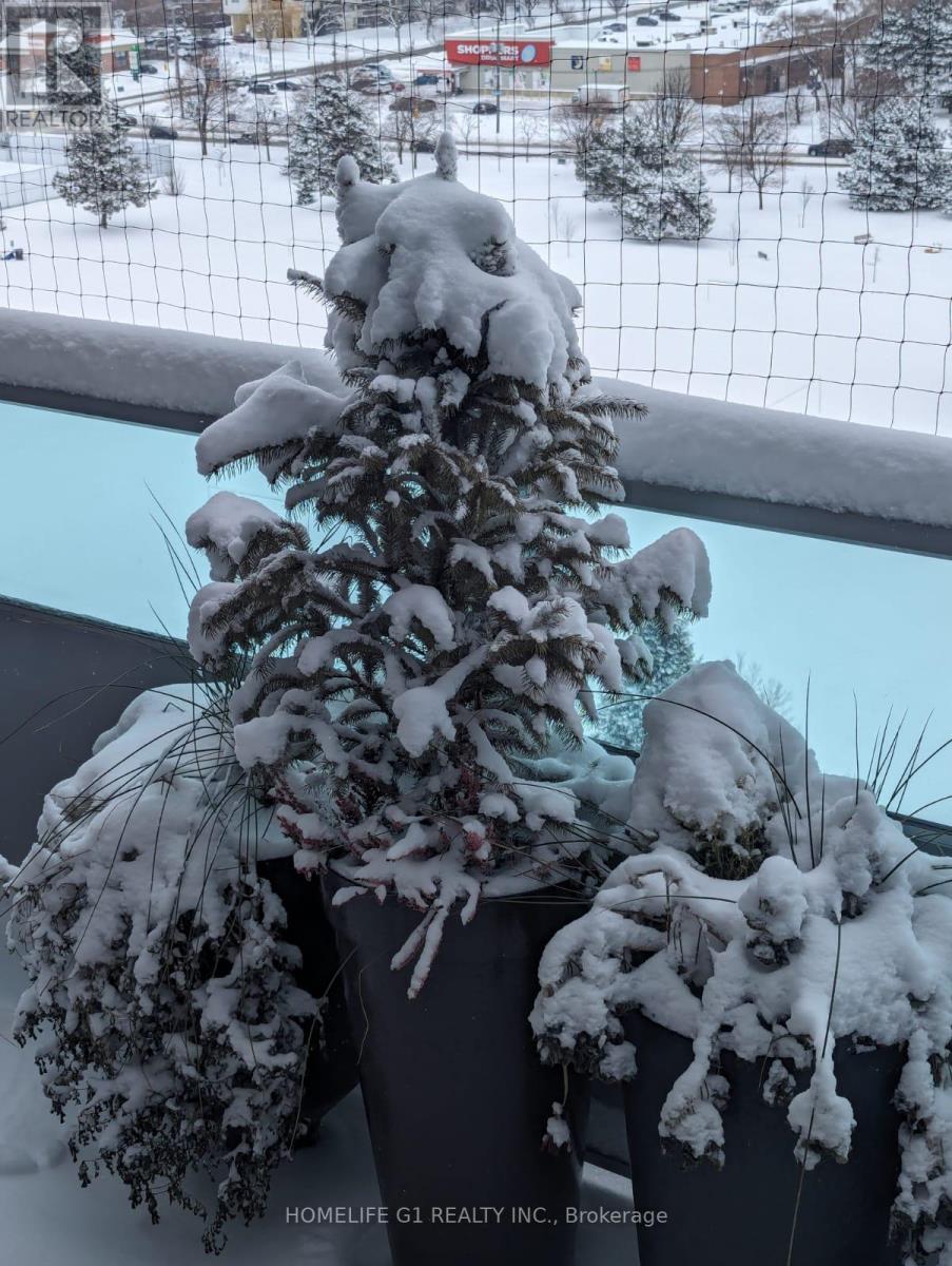 1203 - 44 Longbourne Drive, Toronto, Ontario  M9R 2M7 - Photo 38 - W12646880