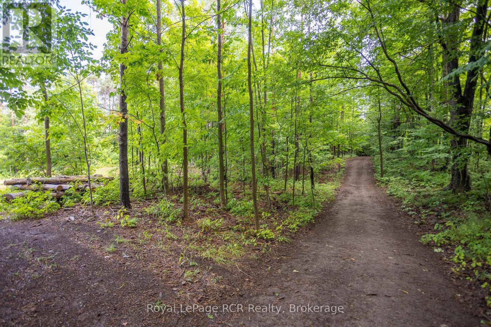 121 Collingwood Street, Grey Highlands, Ontario  N0C 1E0 - Photo 42 - X12378341