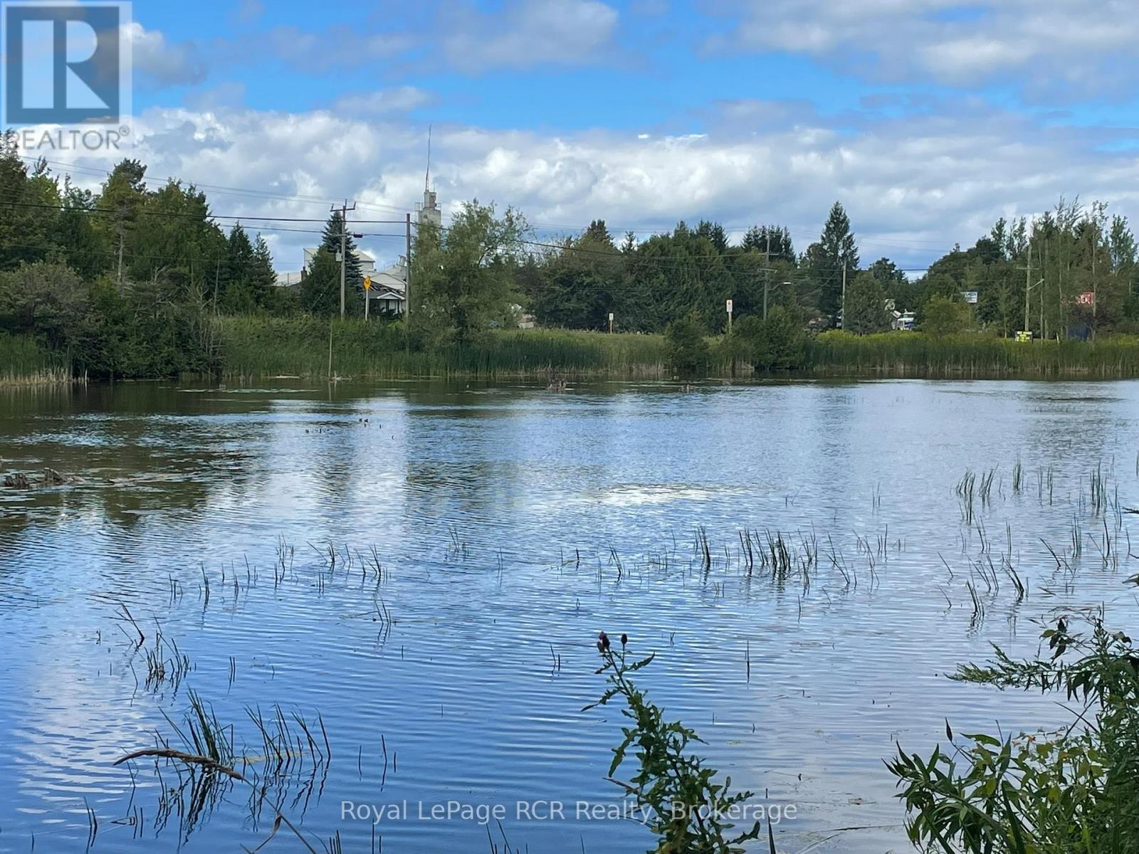 121 Collingwood Street, Grey Highlands, Ontario  N0C 1E0 - Photo 37 - X12378341