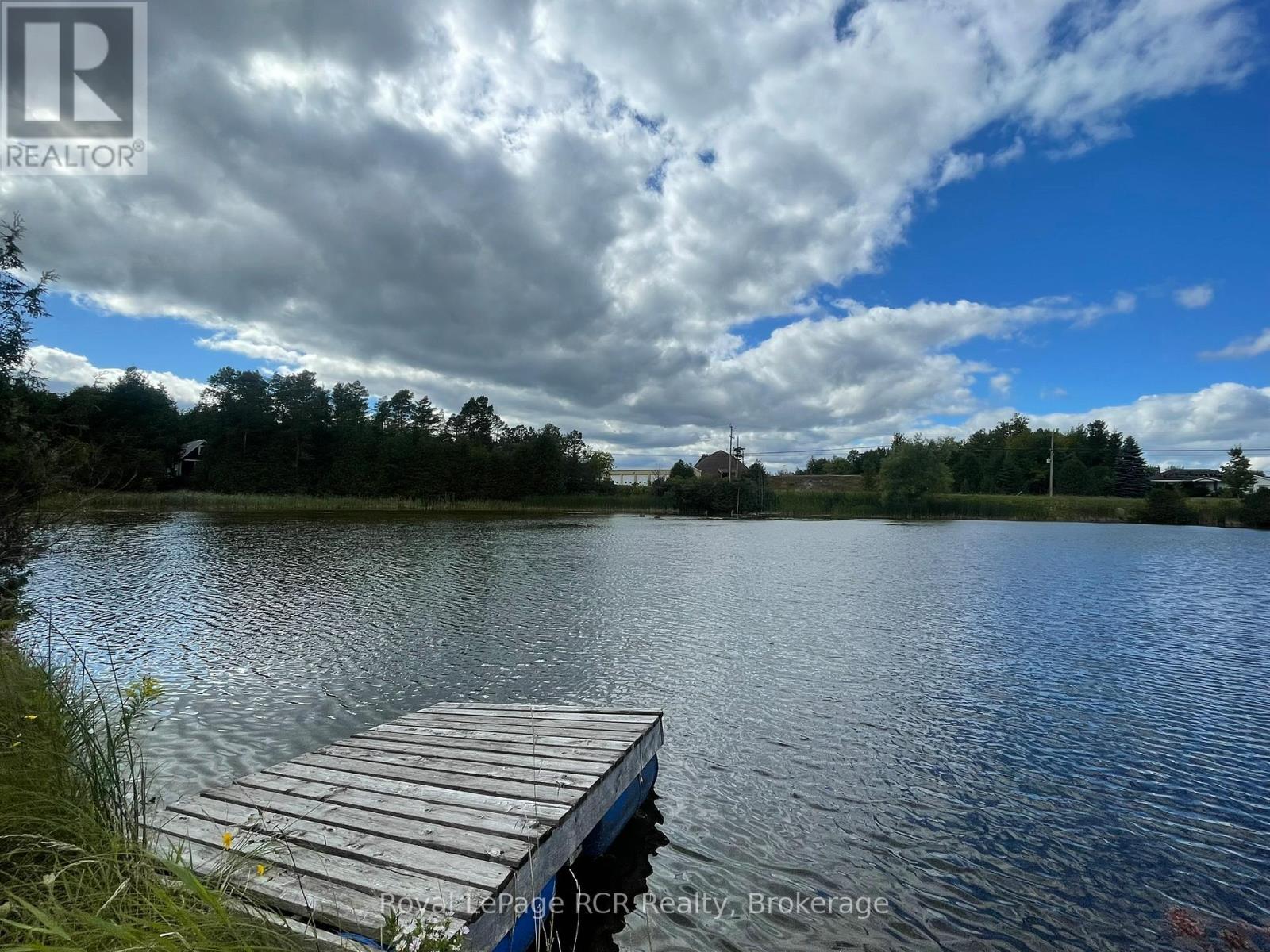 121 Collingwood Street, Grey Highlands, Ontario  N0C 1E0 - Photo 39 - X12378341