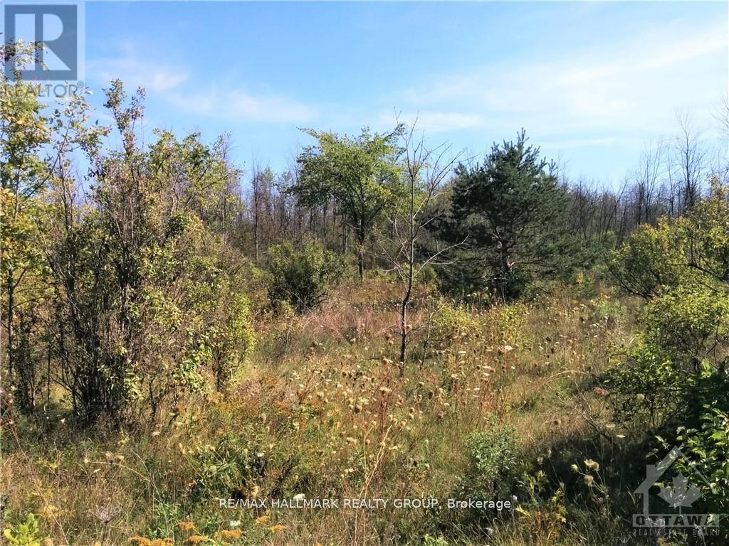 49 Rideau Avenue N, Montague, Ontario  K7A 4W1 - Photo 4 - X12646964