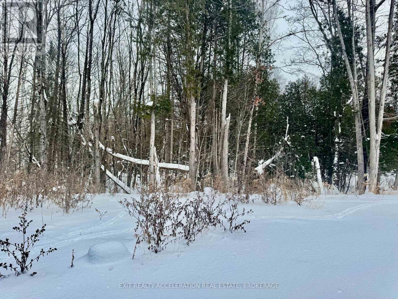 27 Hartsmere Road, Carlow/mayo, Ontario  K0L 2M0 - Photo 10 - X12647008