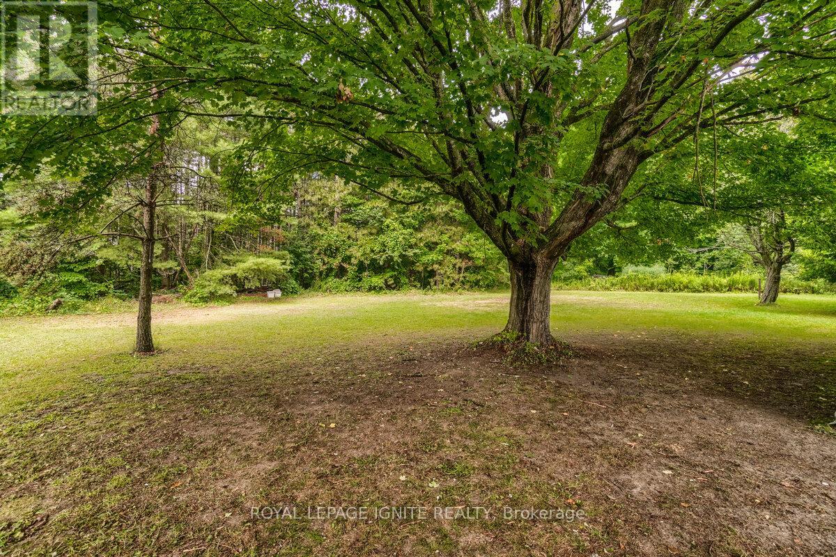 5812 Beech Grove, Caledon, Ontario  L7K 0M7 - Photo 26 - W12647084