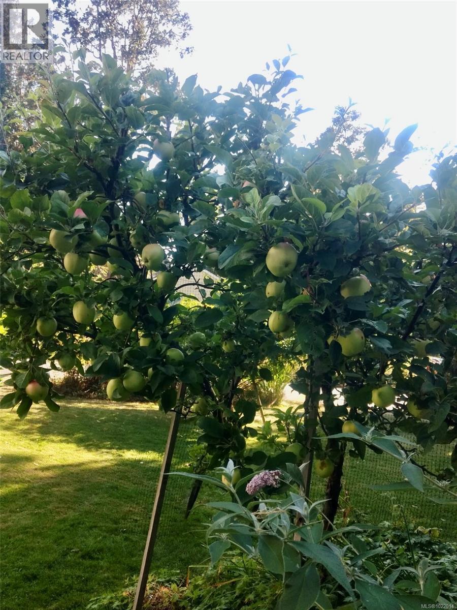 3681 Elliston Ave, Saanich, British Columbia  V8X 1R9 - Photo 31 - 1022014