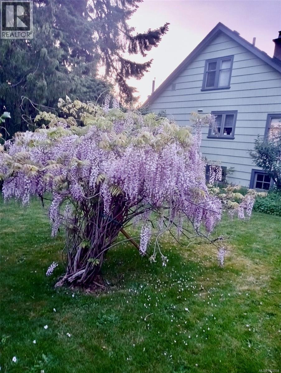 3681 Elliston Ave, Saanich, British Columbia  V8X 1R9 - Photo 29 - 1022014