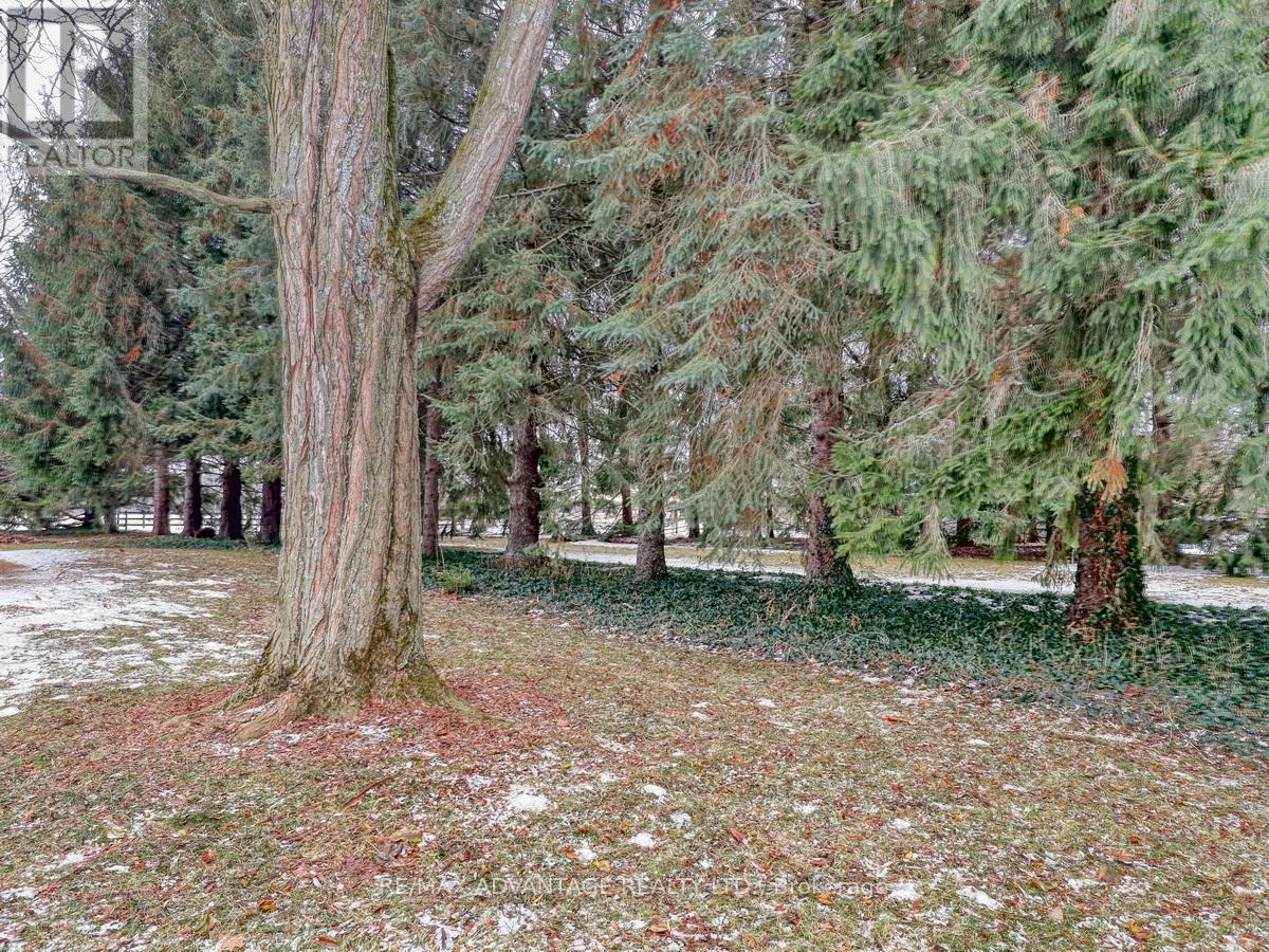 17248 Wyton Drive, Thames Centre, Ontario  N0M 2P0 - Photo 49 - X12552260