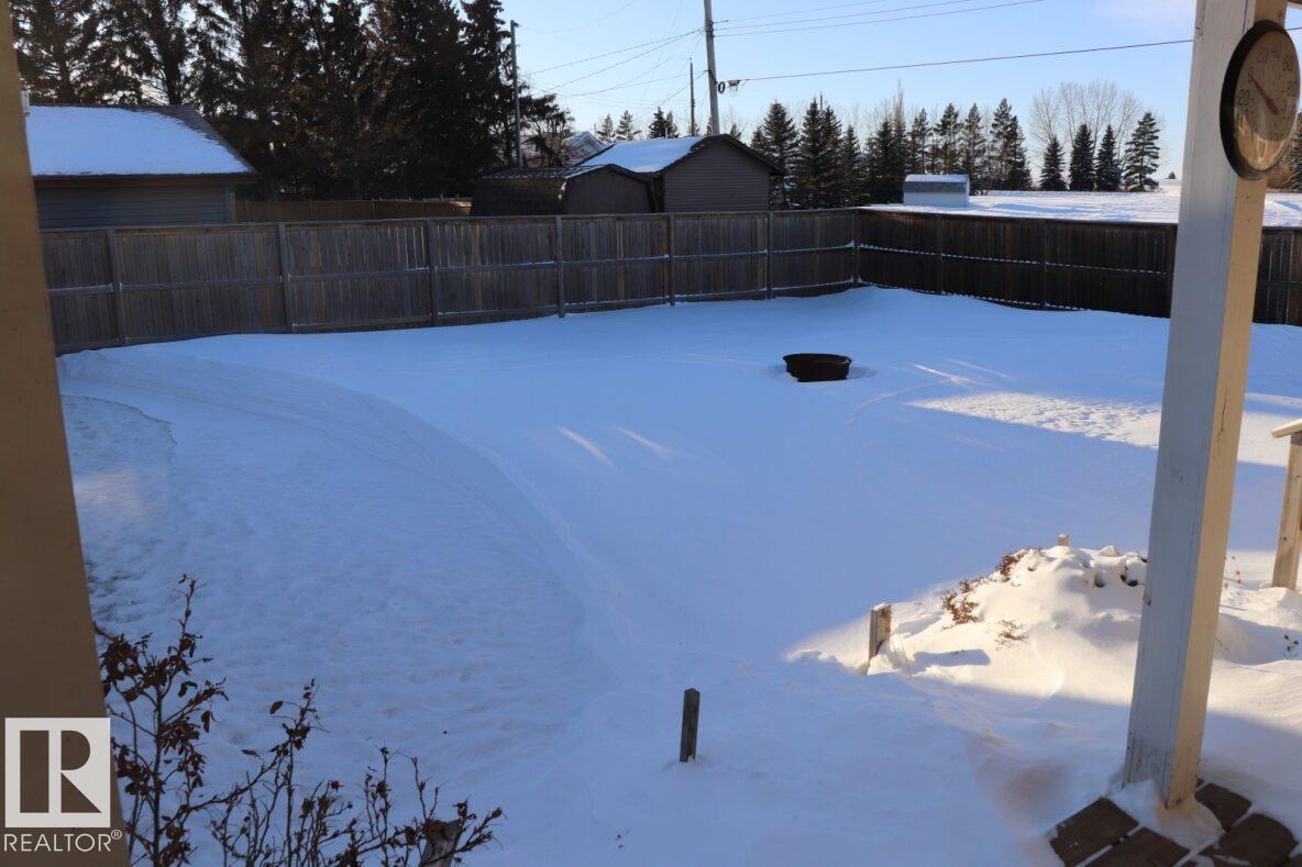 4824 52 St, Lougheed, Alberta  T0B 2V0 - Photo 6 - E4468505