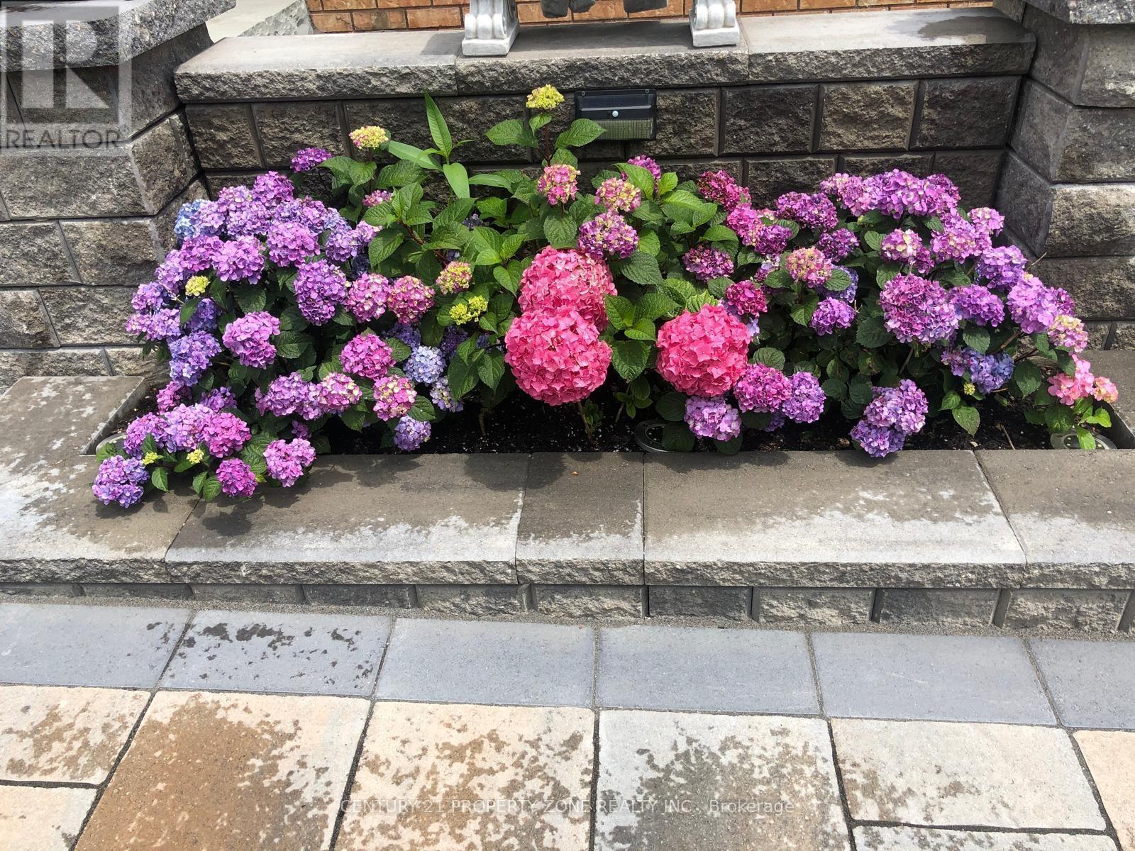 2565 Scarth Court, Mississauga, Ontario  L5M 5L2 - Photo 42 - W12645820