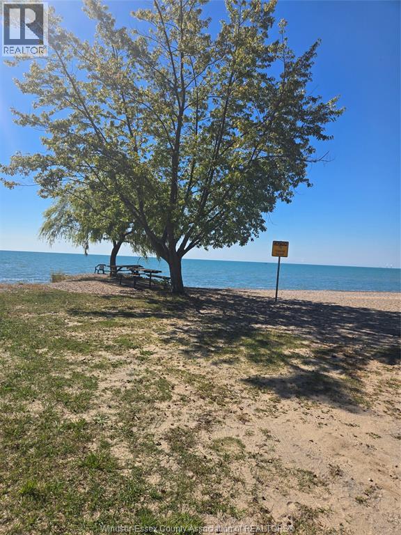 125 Crystal Lane, Harrow, Ontario  N0R 1G0 - Photo 17 - 25025548