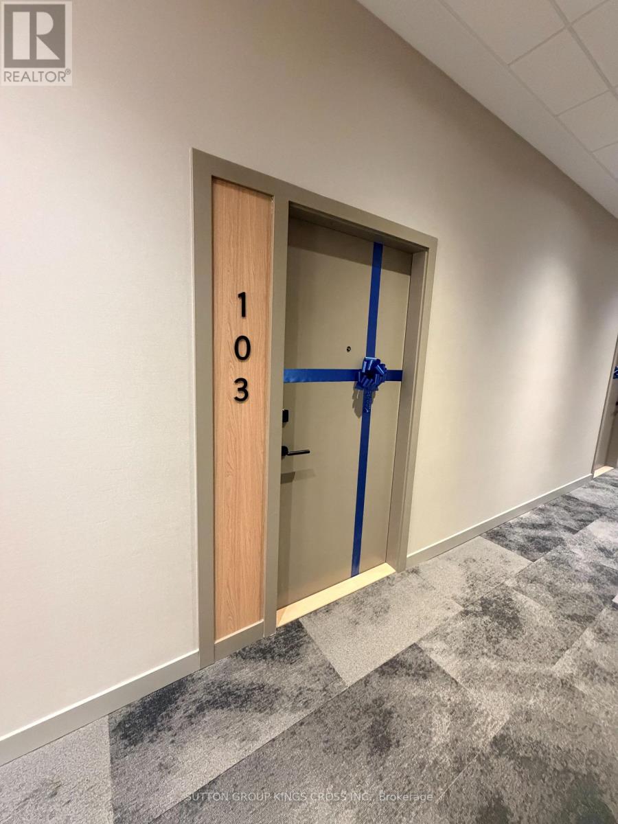 103 - 720 Whitlock Avenue, Milton, Ontario  L9E 2B5 - Photo 4 - W12647366