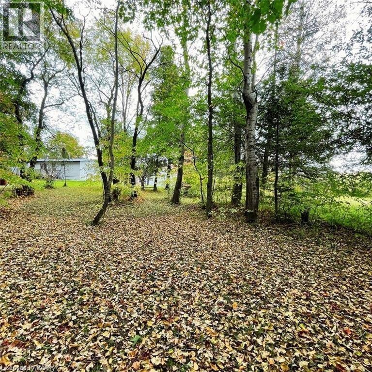 813016 E East Back Line, Grey Highlands, Ontario  N0C 1L0 - Photo 21 - 40789483