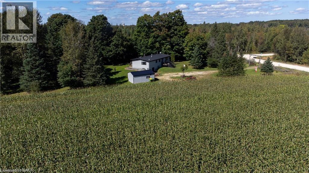 813016 E East Back Line, Grey Highlands, Ontario  N0C 1L0 - Photo 24 - 40789483