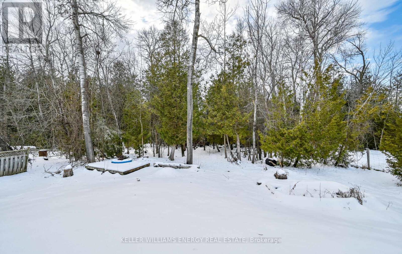 60 Davidge Drive, Scugog, Ontario  L9L 1B6 - Photo 40 - E12647540
