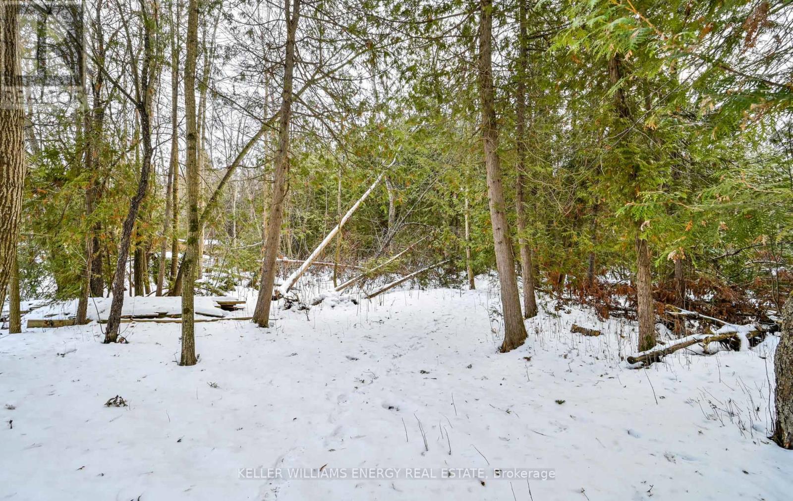 60 Davidge Drive, Scugog, Ontario  L9L 1B6 - Photo 41 - E12647540