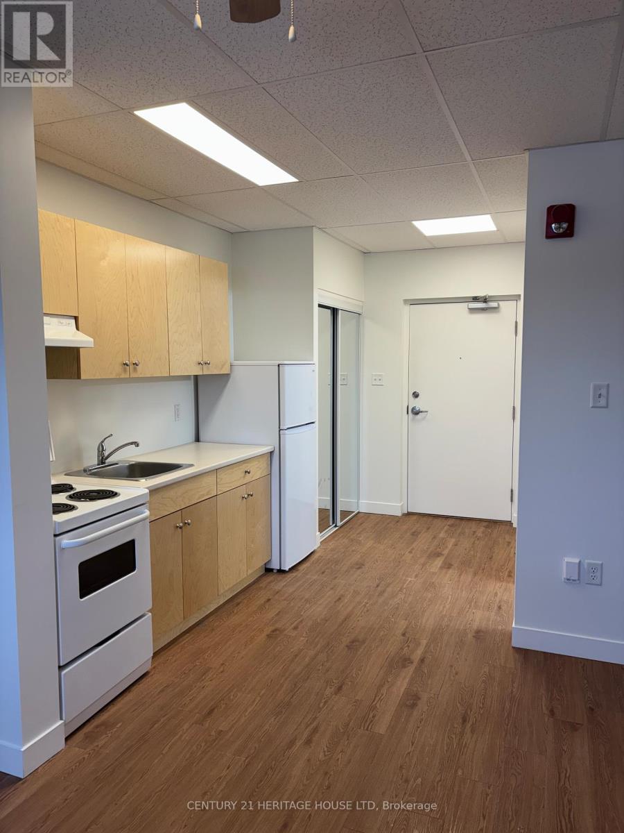 210 - 50 Scott Street, St. Thomas, Ontario  N5P 1K6 - Photo 3 - X12647632