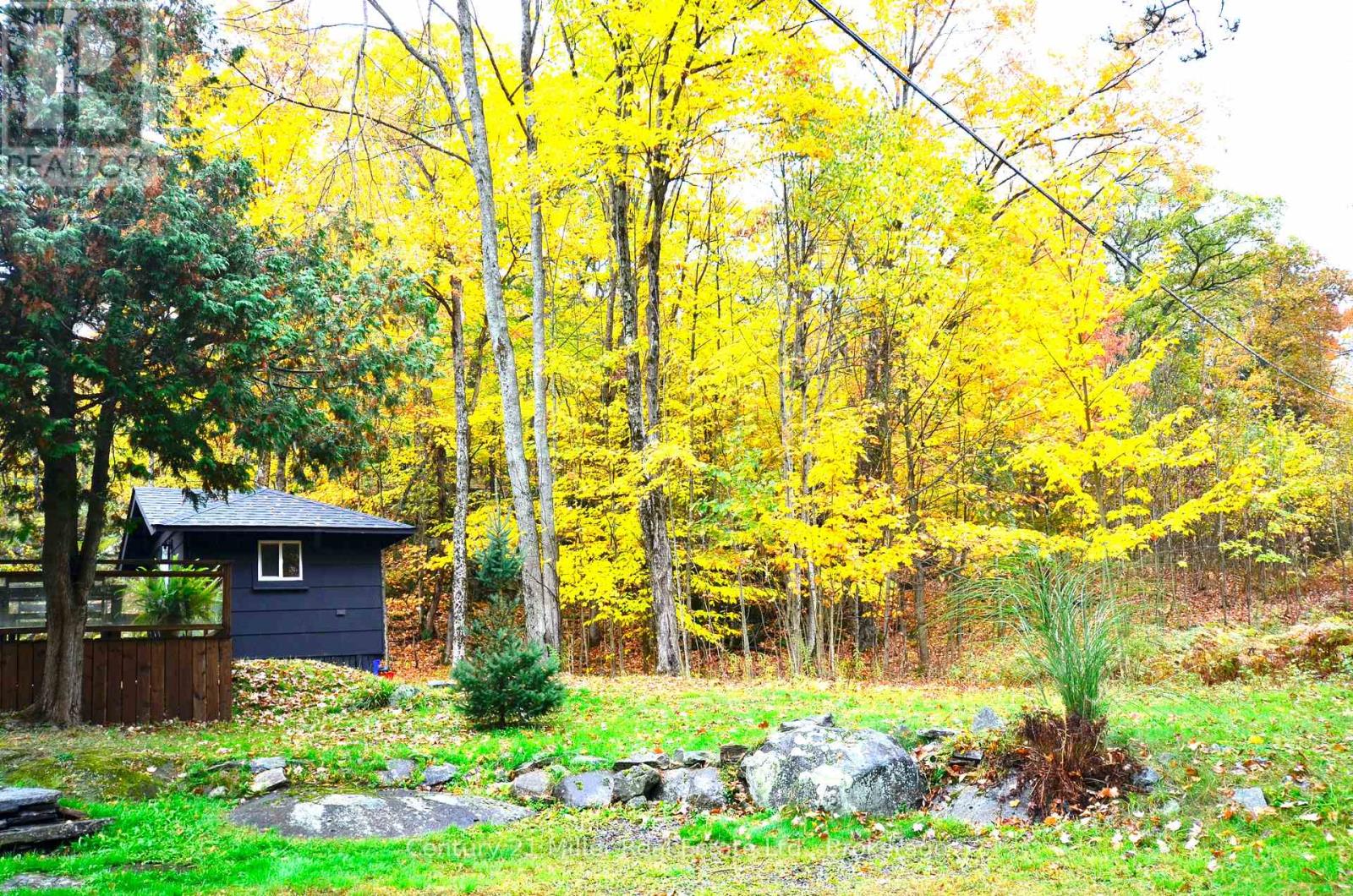 1279 Carlingford Road, Muskoka Lakes, Ontario  P0B 1J0 - Photo 33 - X12633714