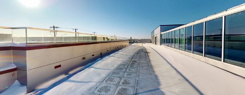 6810  50 Street, Edmonton, Alberta  T6B 2N7 - Photo 9 - 43689592