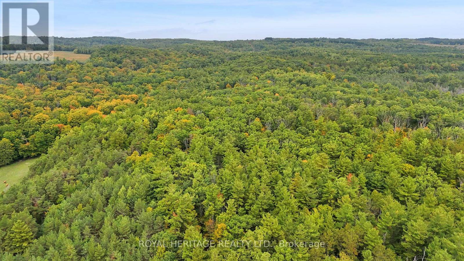 9672 Walker Road, Port Hope, Ontario  L0A 1B0 - Photo 10 - X12427116