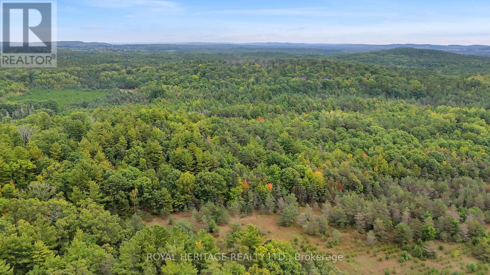 9672 Walker Road, Port Hope, Ontario  L0A 1B0 - Photo 9 - X12427116