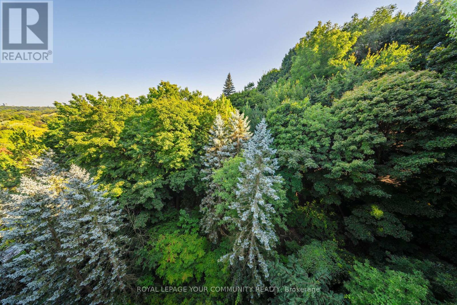 408 - 3900 Yonge Street, Toronto (Bedford Park-Nortown), Ontario  M4N 3N6 - Photo 39 - C12647734