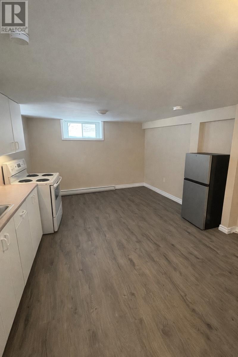 17 Greenwood Avenue, Grand Falls-Windsor, Newfoundland & Labrador  A2A 1S3 - Photo 14 - 1293365