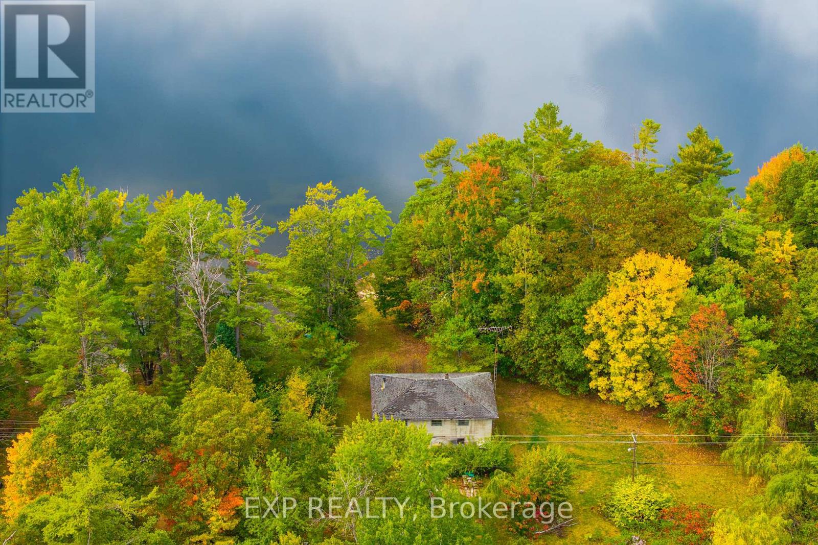 1144 South Morrison Lake Road, Gravenhurst, Ontario  P0E 1G0 - Photo 6 - X12647726