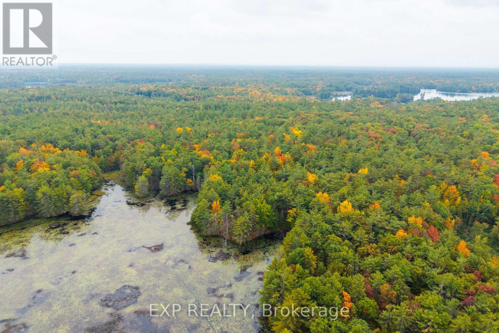 1144 A South Lake Morrison Road, Gravenhurst, Ontario  P0E 1G0 - Photo 11 - X12647728