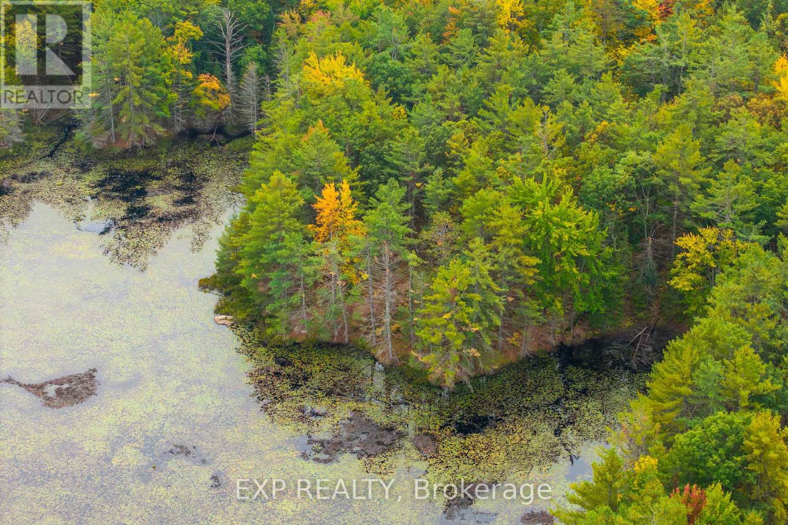 1144 A South Lake Morrison Road, Gravenhurst, Ontario  P0E 1G0 - Photo 12 - X12647728