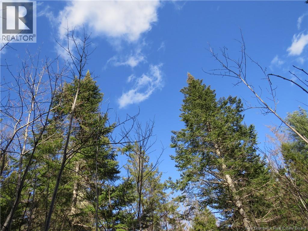 South Oromocto Lake Road, South Oromocto Lake, New Brunswick  E5L 2R9 - Photo 10 - NB131466