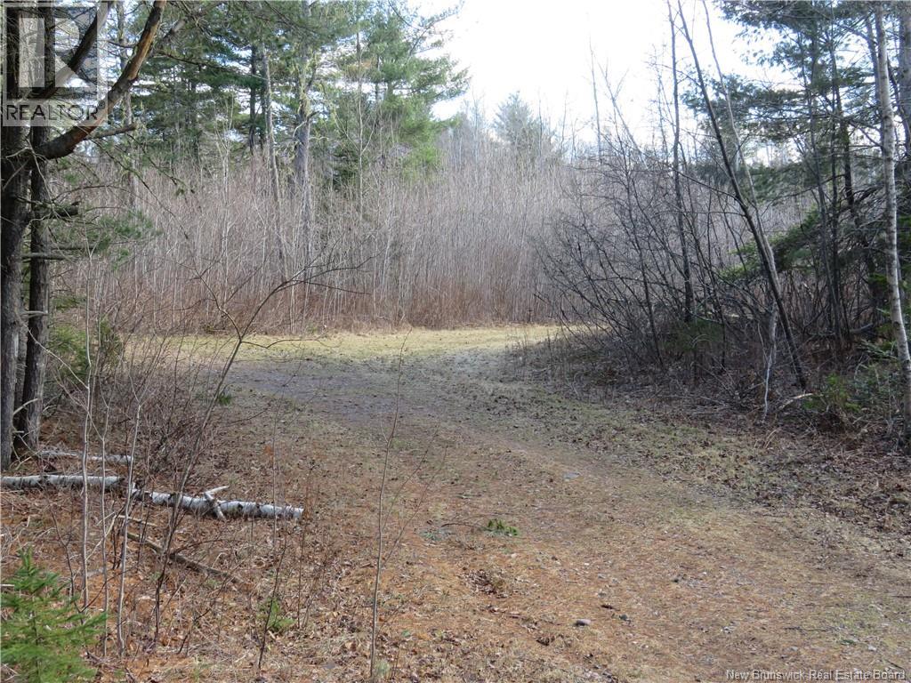 South Oromocto Lake Road, South Oromocto Lake, New Brunswick  E5L 2R9 - Photo 5 - NB131466