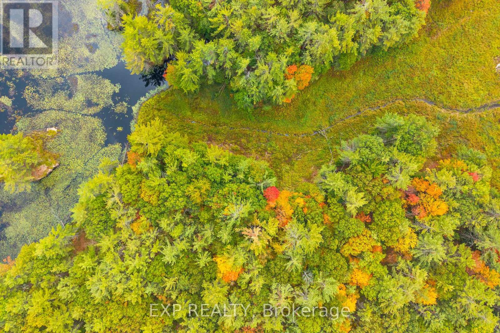 1144 A South Lake Morrison Road, Gravenhurst, Ontario  P0E 1G0 - Photo 7 - X12647728