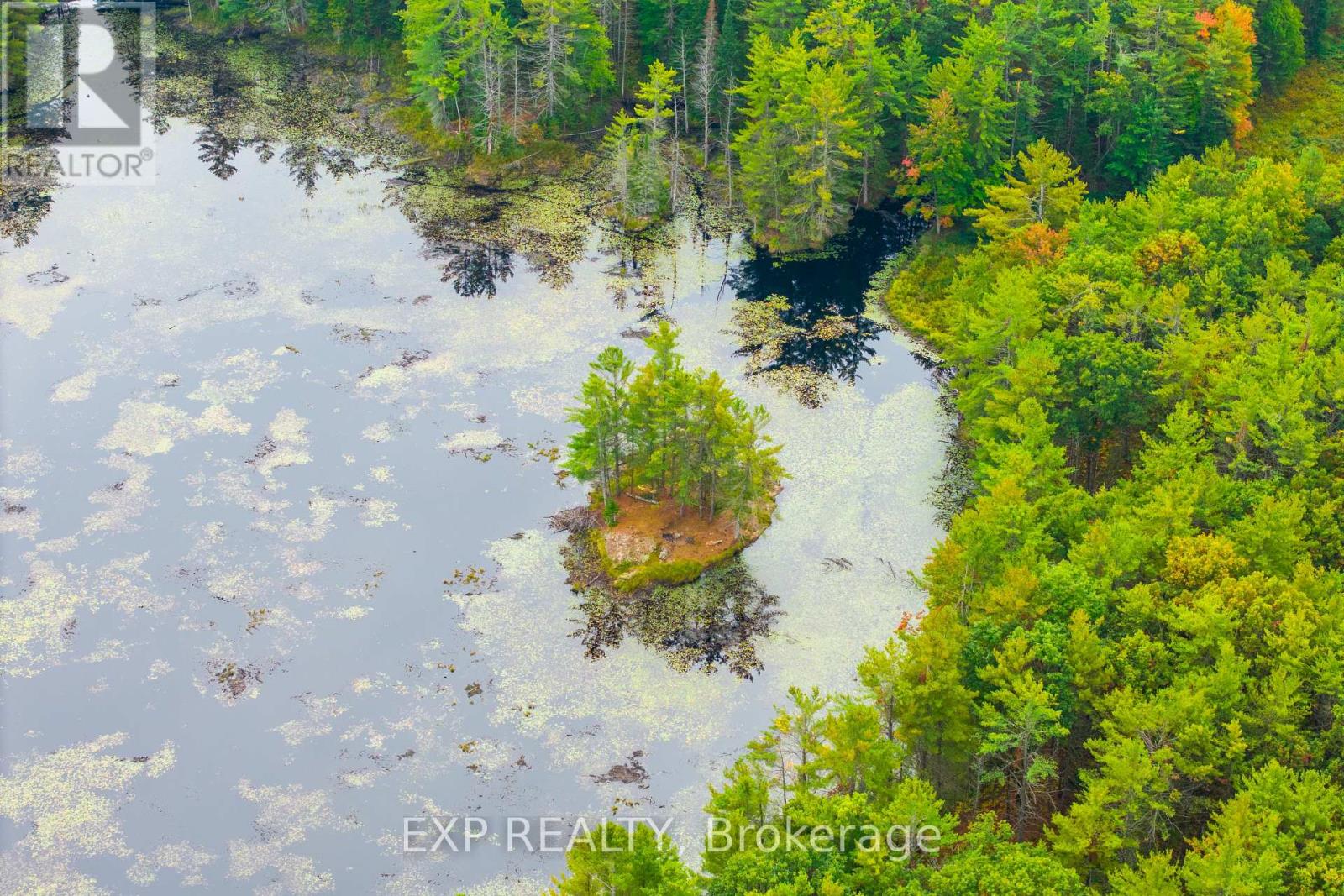 1144 A South Lake Morrison Road, Gravenhurst, Ontario  P0E 1G0 - Photo 5 - X12647728