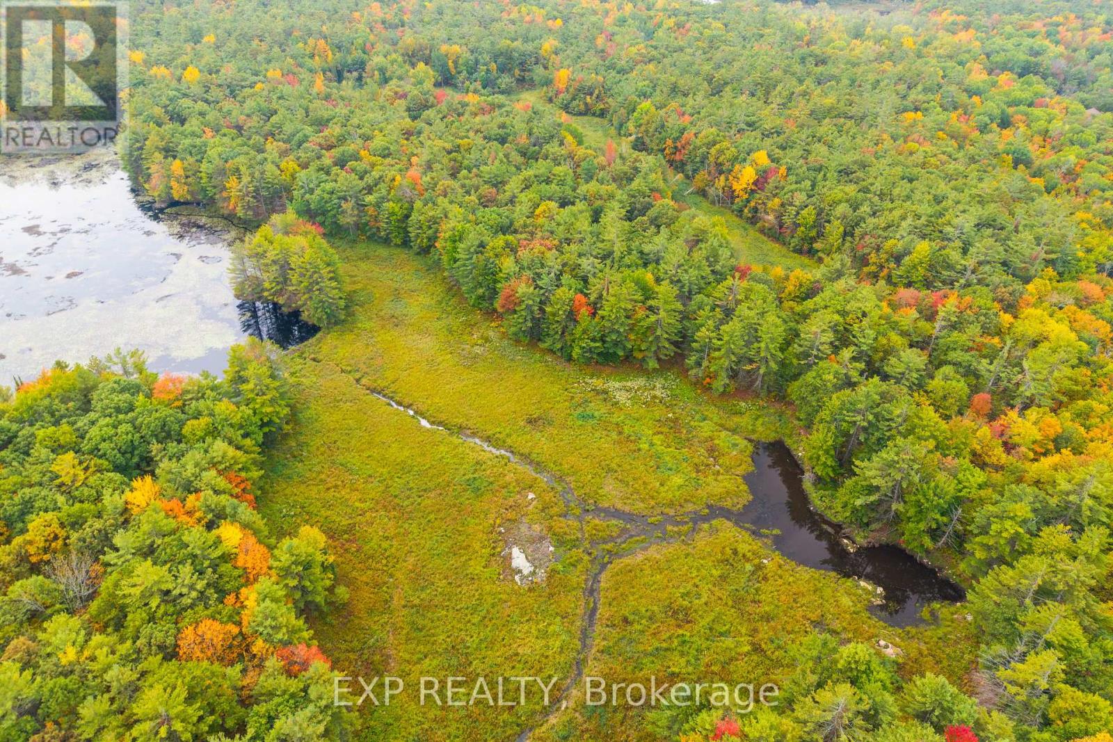 1144 A South Lake Morrison Road, Gravenhurst, Ontario  P0E 1G0 - Photo 8 - X12647728