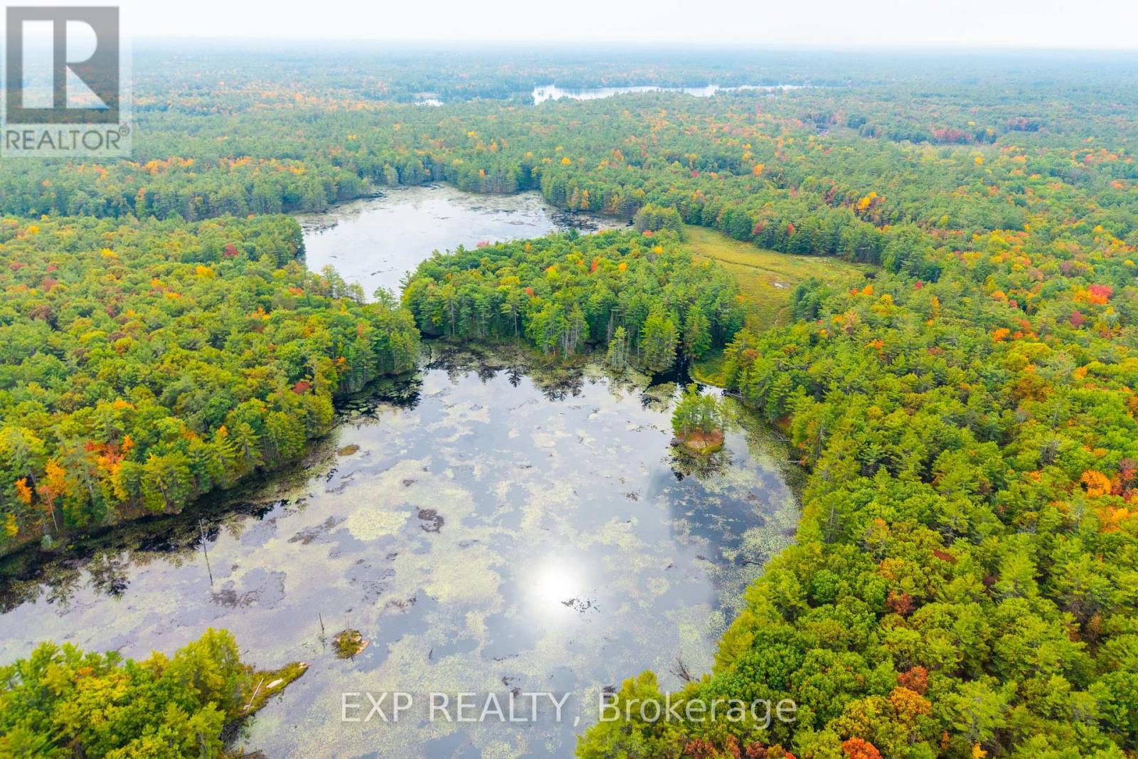 1144 A South Lake Morrison Road, Gravenhurst, Ontario  P0E 1G0 - Photo 6 - X12647728