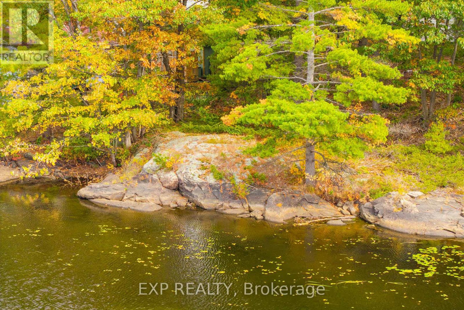 1144 South Morrison Lake Road, Gravenhurst, Ontario  P0E 1G0 - Photo 17 - X12647726