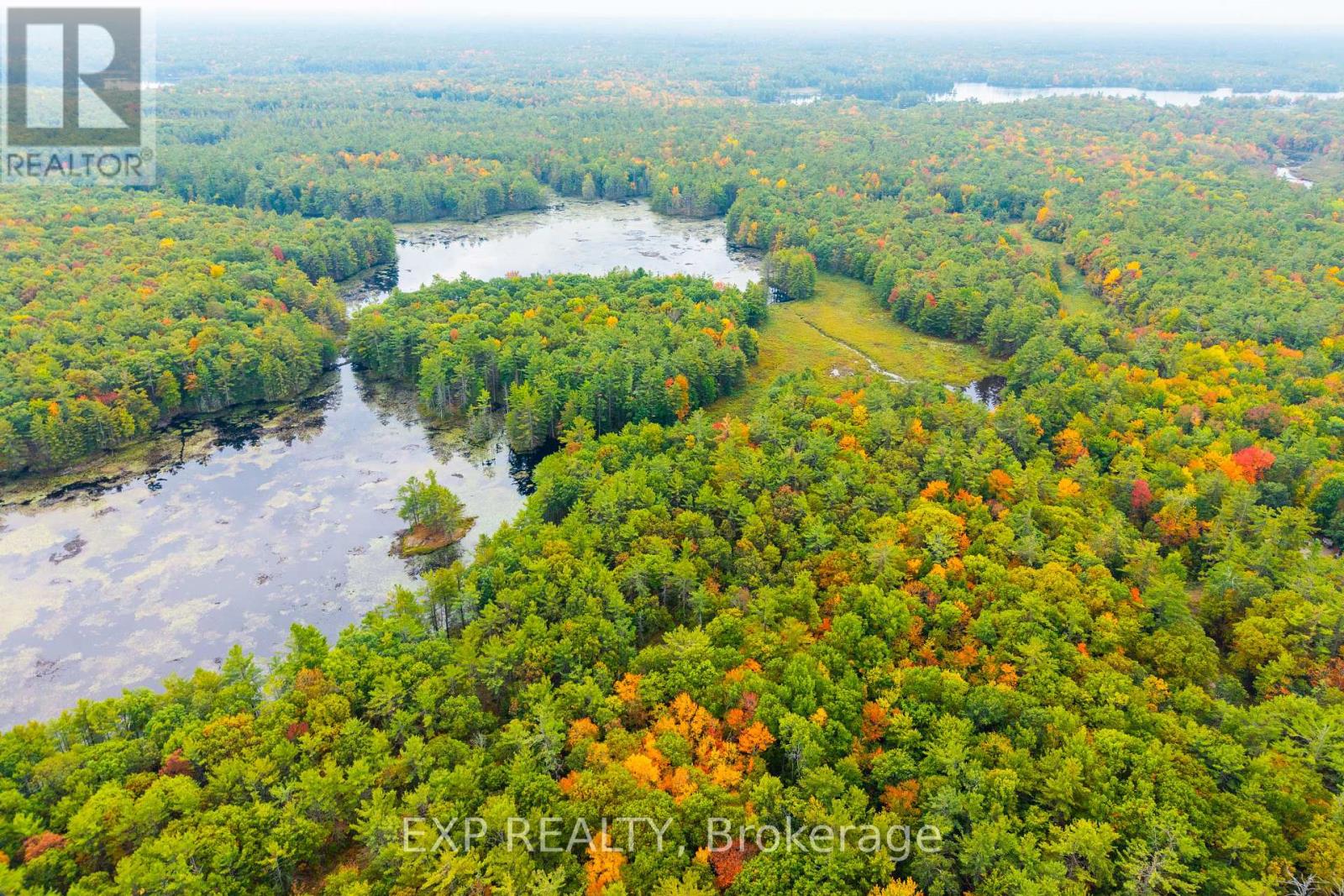 1144 A South Lake Morrison Road, Gravenhurst, Ontario  P0E 1G0 - Photo 4 - X12647728