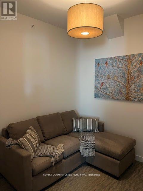 203 - 40 Horseshoe Boulevard, Oro-Medonte, Ontario  L4M 4Y8 - Photo 19 - S12647840